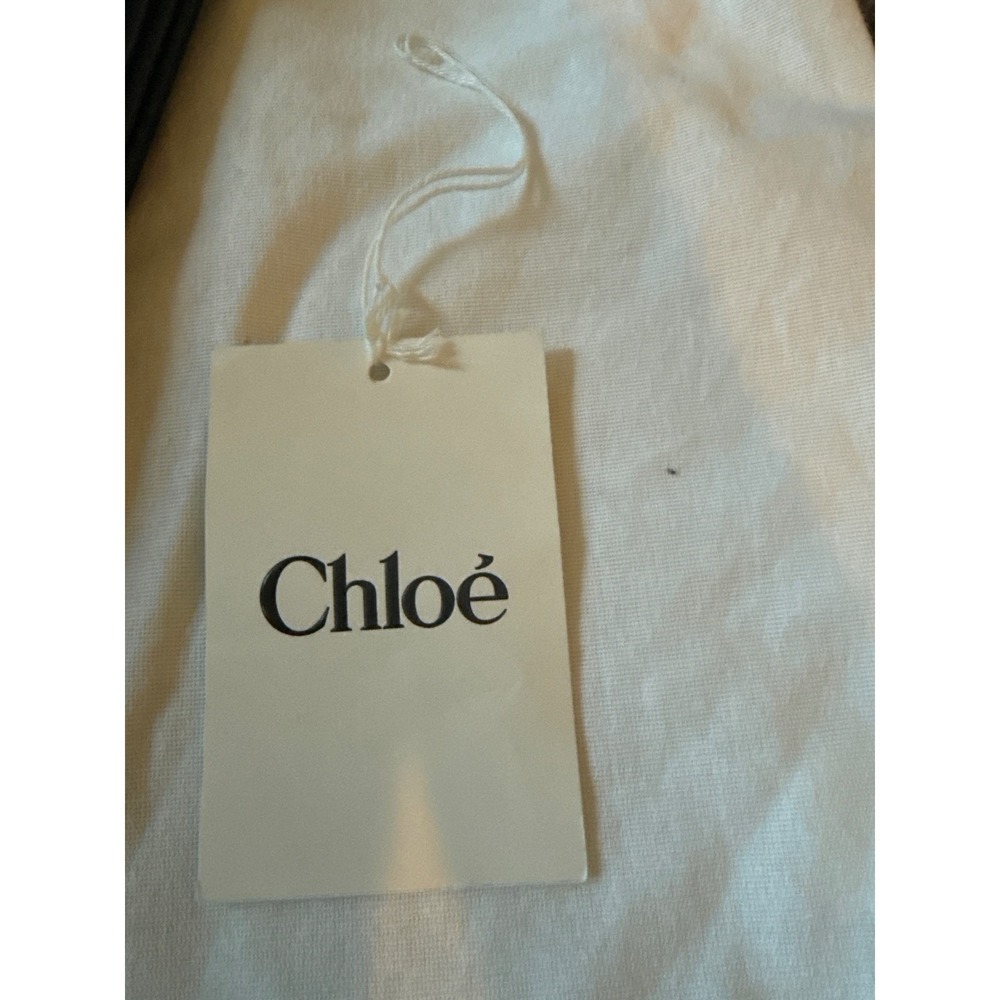 Chloé Black Leather Triangular Crossbody Bag with Gold Hardware (Rare) - Picture 7 of 15